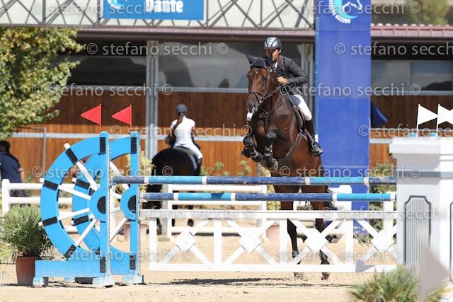 D ANTONI_D ACORADO_ECC_2011_SS3_5135.jpg